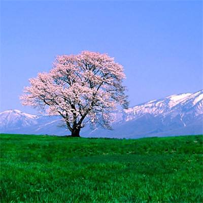 游戏王dm变态版(暂未上线)v1.0.1 安卓版